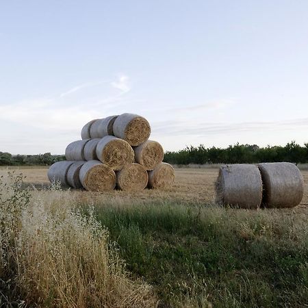 Agrimat Salento Sas Villa อเลซิโอ ภายนอก รูปภาพ