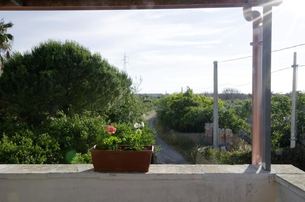 Agrimat Salento Sas Villa อเลซิโอ ภายนอก รูปภาพ