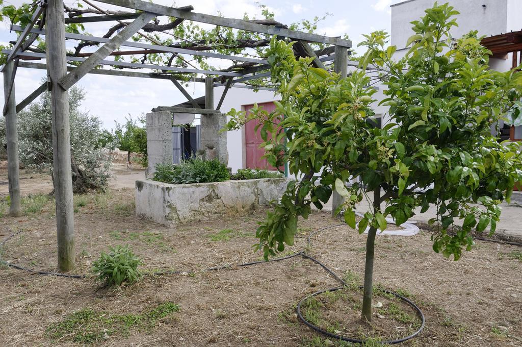Agrimat Salento Sas Villa อเลซิโอ ภายนอก รูปภาพ